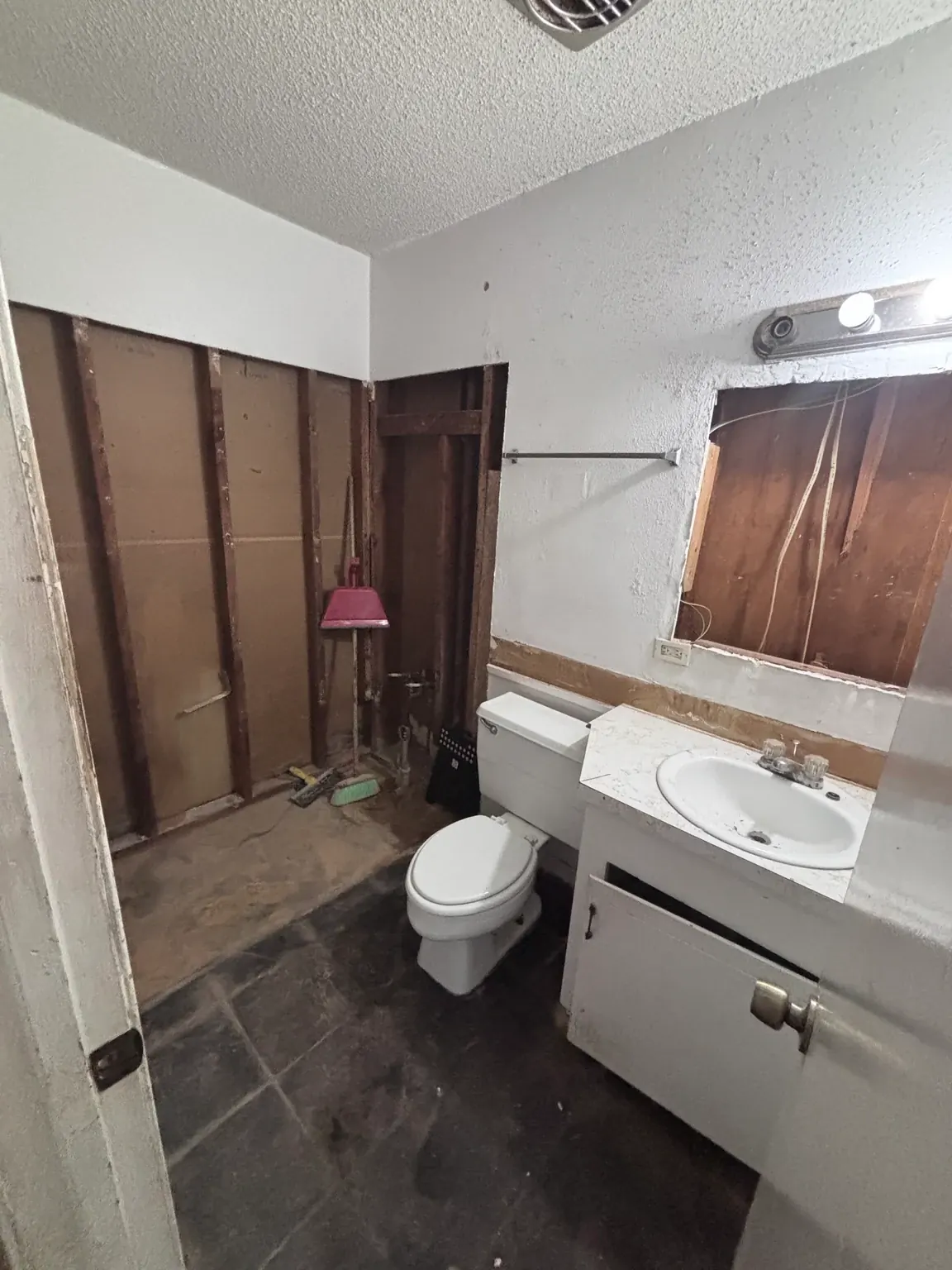 Bathroom during selective demolition, with the tub area opened to wall framing beside the toilet and vanity